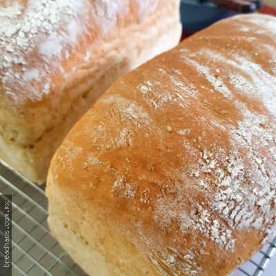 Pan Blanco Terminado Rustico