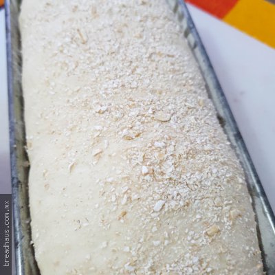 Pan con Avena