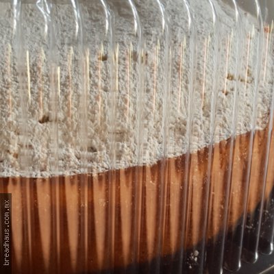 Pastel de Elote con Queso