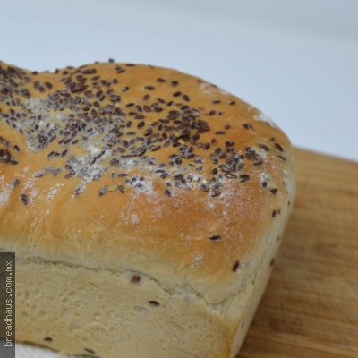 Pan con Linaza