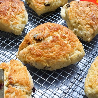 Scones de Arándano