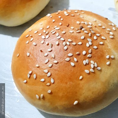 Pan para Hamburguesa