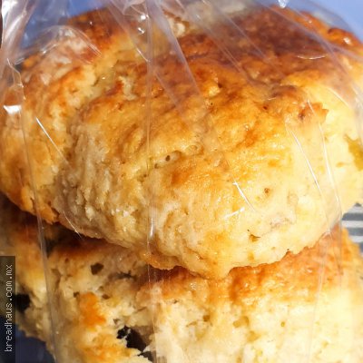 BS008 Scones de Naranja con Arándanos