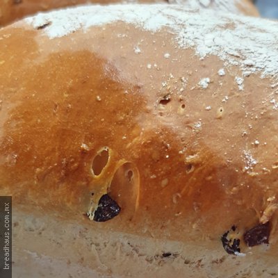 Pan con Arándano