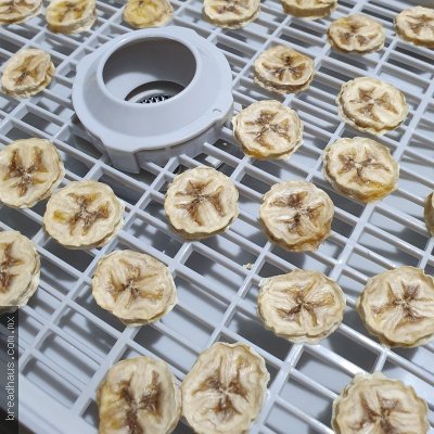 Deshidratando Platanitos