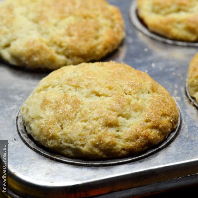 PB027 Mantecada Clásica