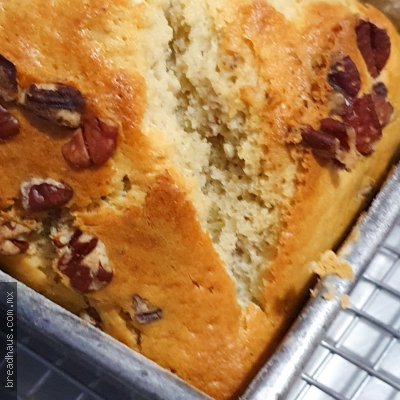 PB039 Panque Esponjoso de Nuez